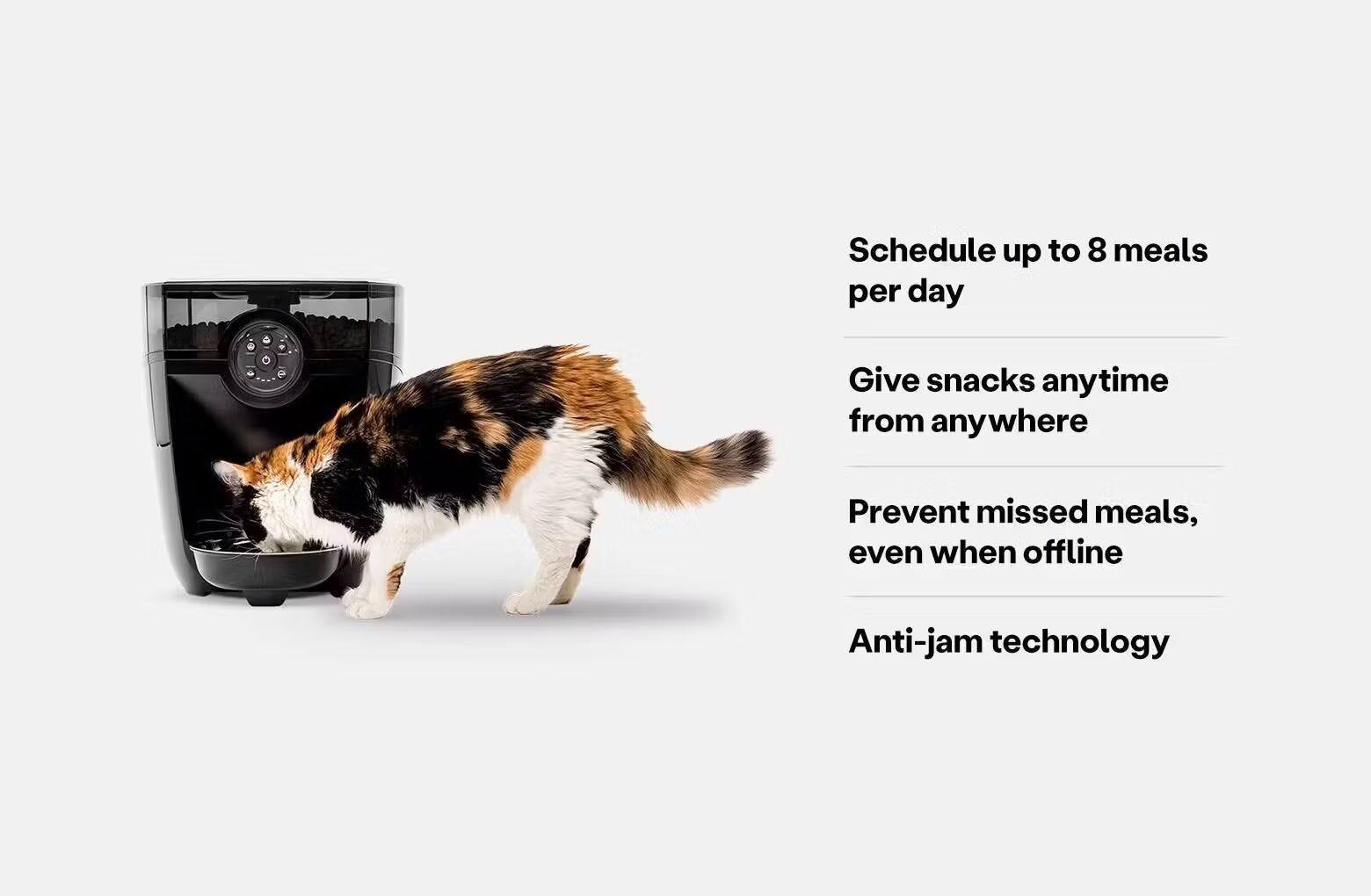 An application scenario or product detail of litter robot cat feeder - Image 13