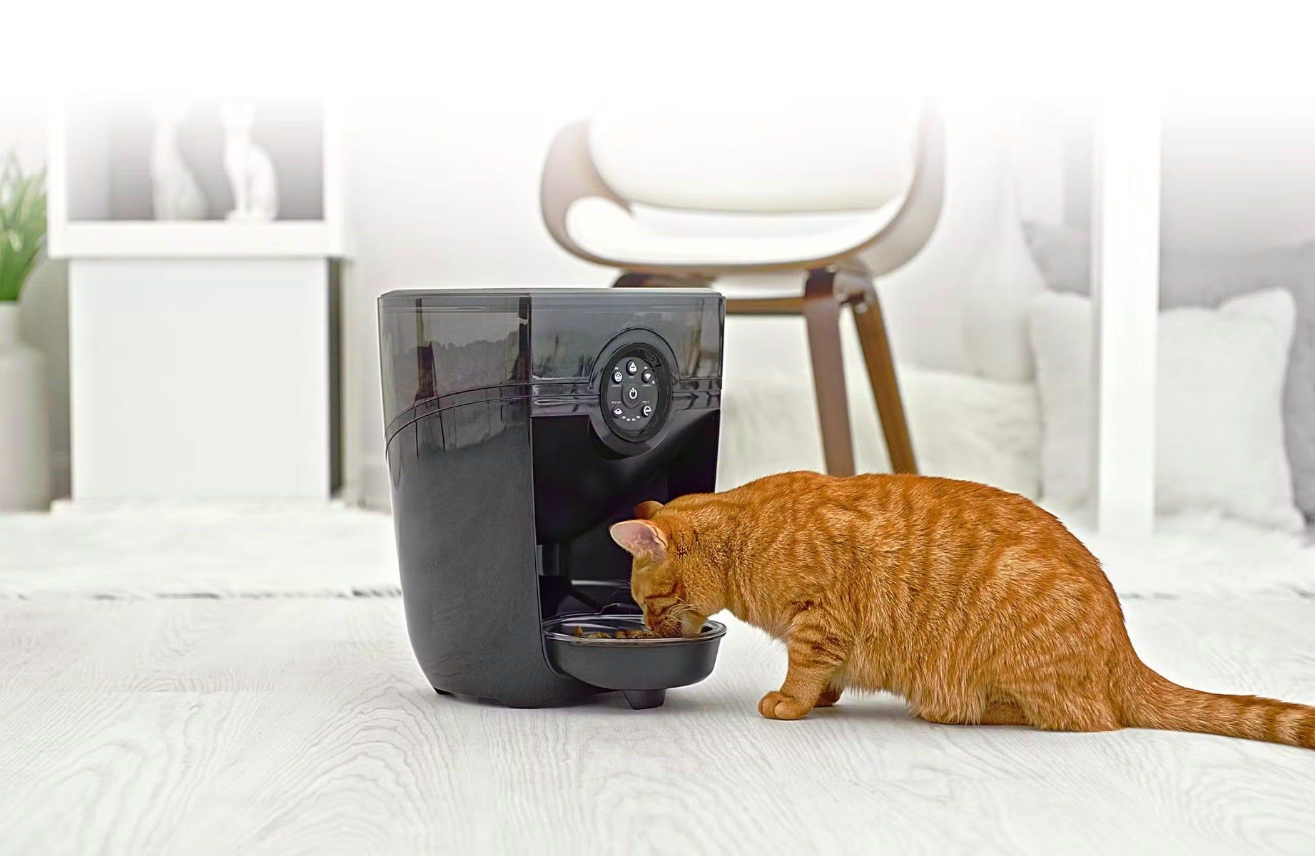 An application scenario or product detail of litter robot cat feeder - Image 14