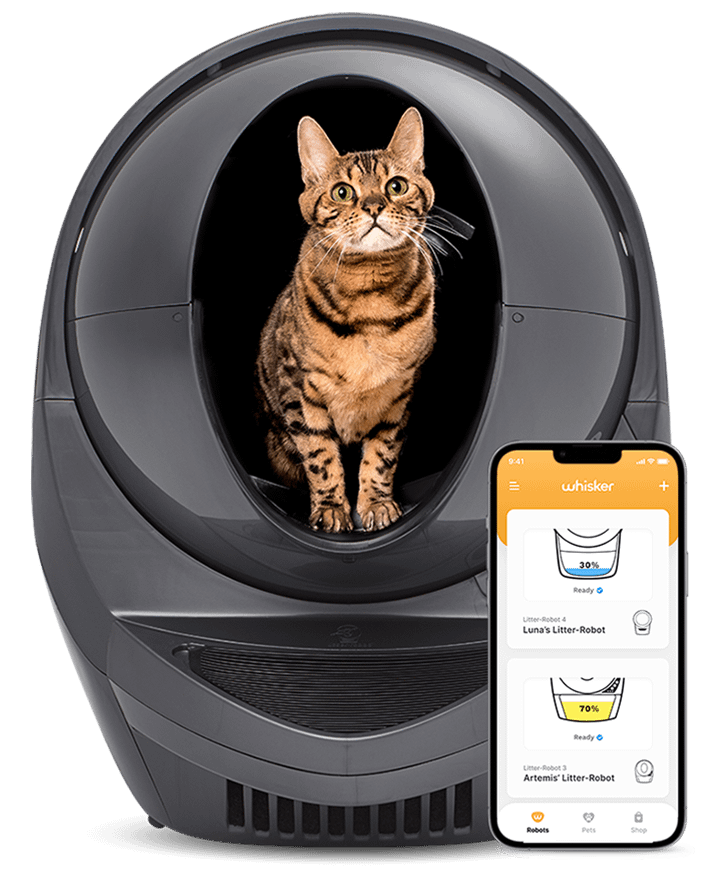 An application scenario or product detail of litter robot cat feeder - Image 15