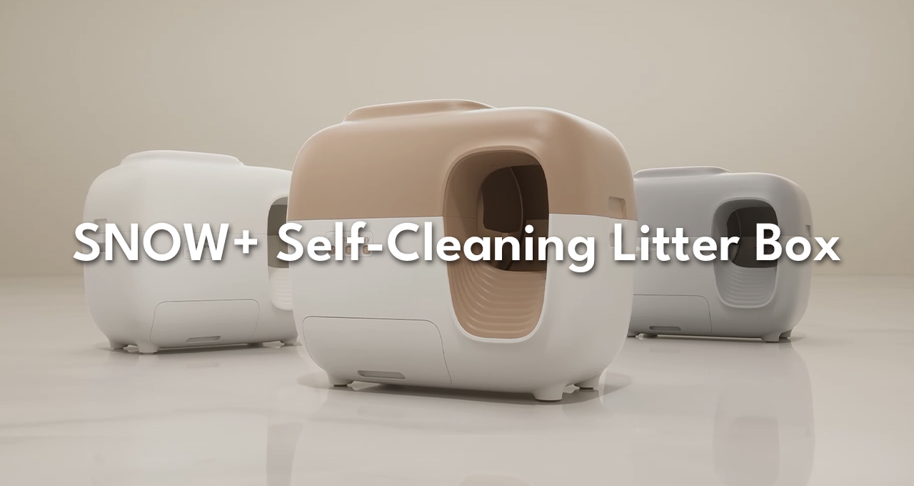 An application scenario or product detail of litter robot vs petsnowy - Image 15