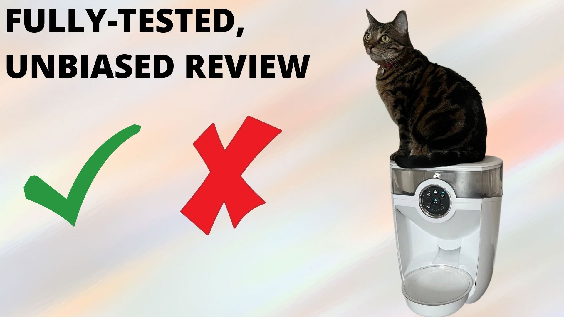 An application scenario or product detail of litter robot water fountain - Image 14
