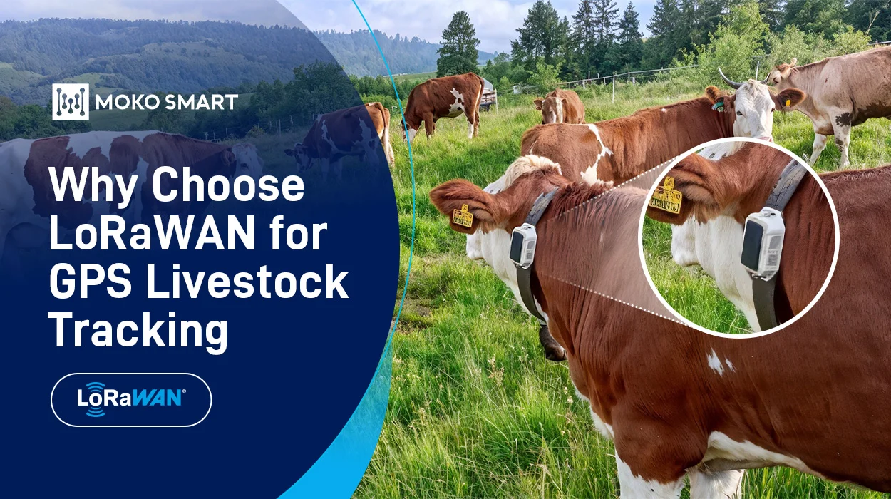 An application scenario or product detail of livestock gps tracker - Image 10