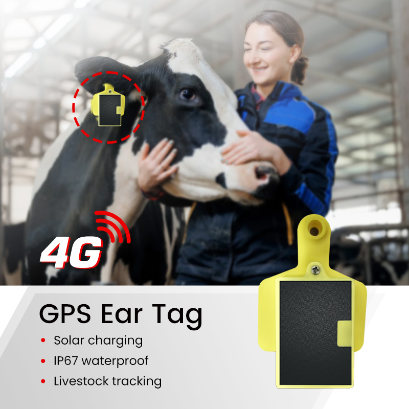 An application scenario or product detail of livestock gps tracker - Image 13