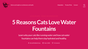 Lictin - Cat Water Fountain