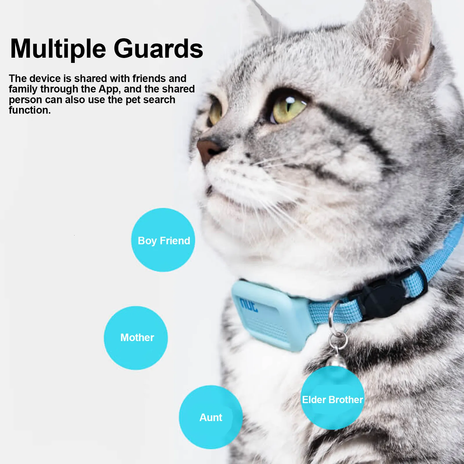 An application scenario or product detail of locator collar for cats - Image 5