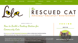 Lola the Rescued Cat - DIY and Pre-Built Feeding Stations