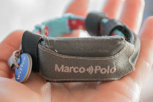 An application scenario or product detail of marco polo pet tracker - Image 17