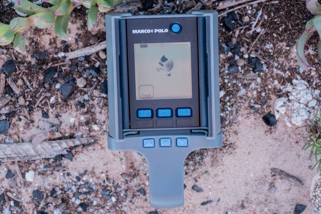 An application scenario or product detail of marco polo pet tracker - Image 19