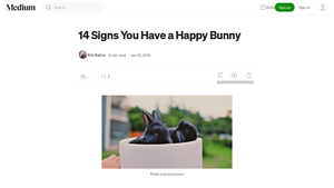 Happy Bunnies - 14 Signs of Joy
