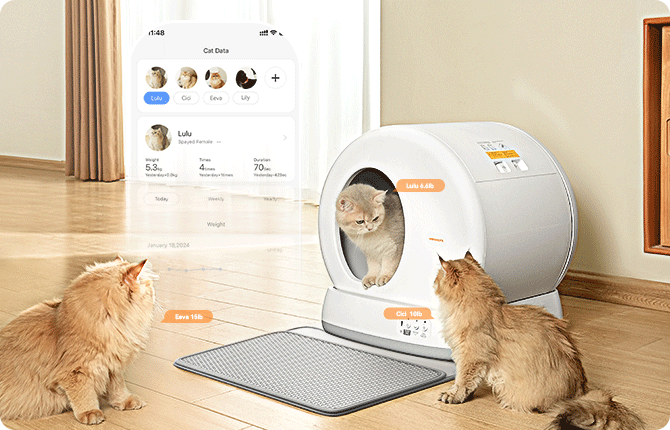 An application scenario or product detail of meow want - Image 11