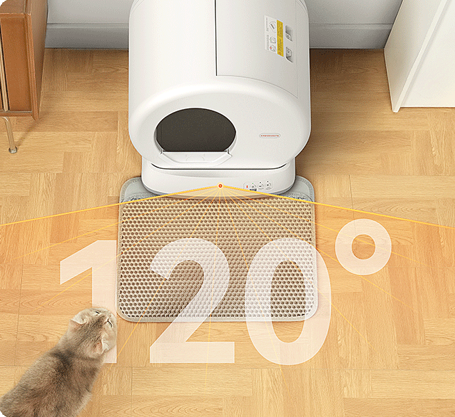 An application scenario or product detail of meow want - Image 24