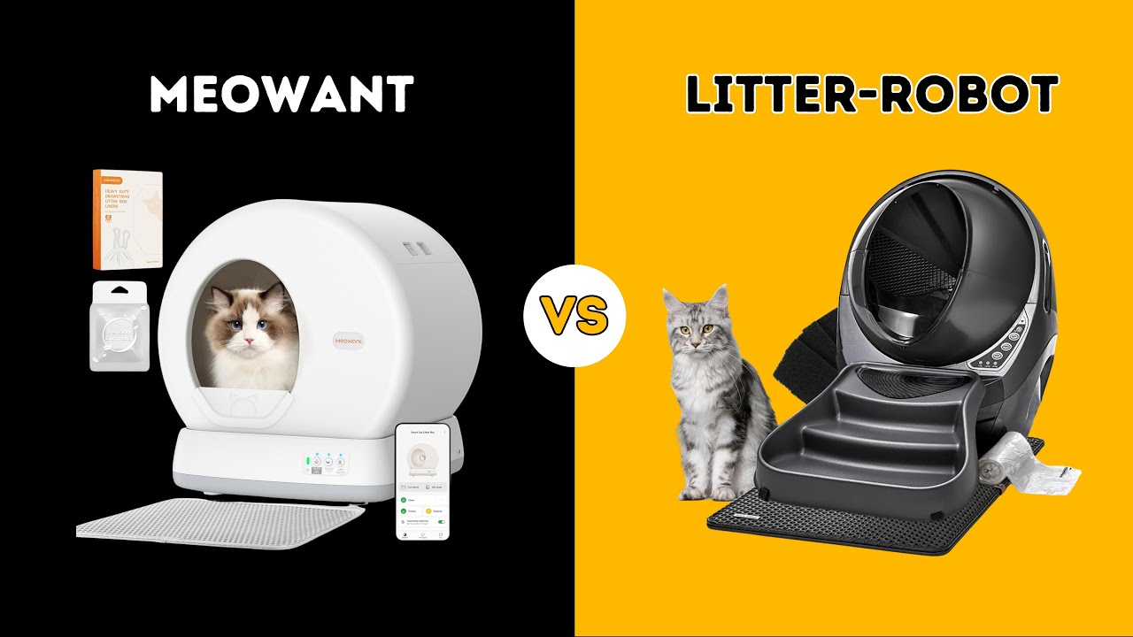 Featured image for the meowant vs litter robot 4 guide