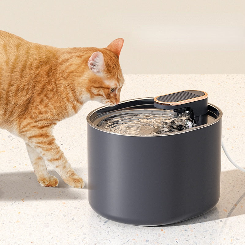 An application scenario or product detail of meowant water fountain - Image 21