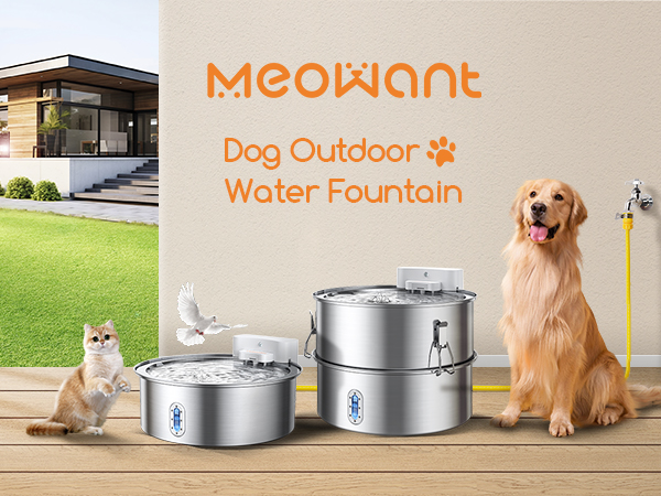 An application scenario or product detail of meowant water fountain - Image 22
