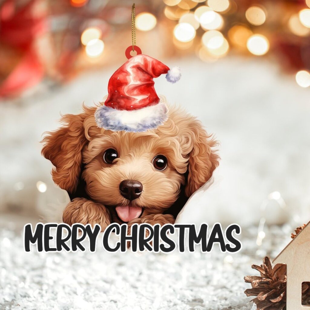 Featured image for the merry christmas from me and my dog guide