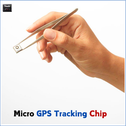 An application scenario or product detail of microchip gps tracking - Image 7