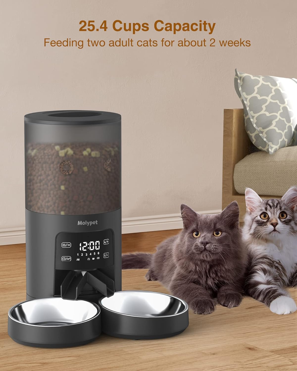 An application scenario or product detail of molypet automatic pet feeder - Image 16