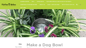 Mother Nature - Pet-Friendly Succulent Kit