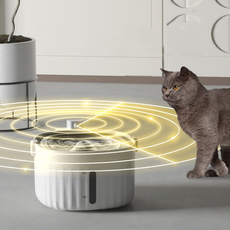 An application scenario or product detail of motion sensor cat water fountain - Image 19