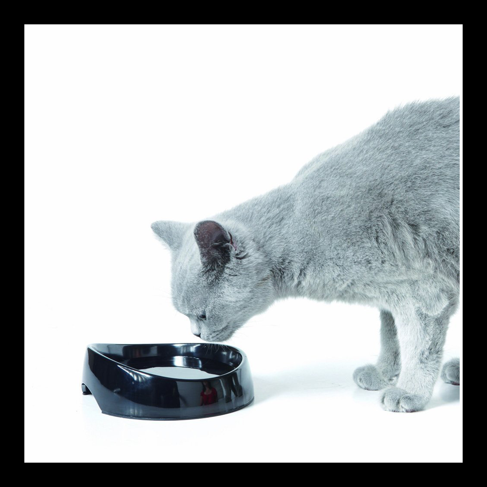 An application scenario or product detail of moving water cat bowl - Image 15