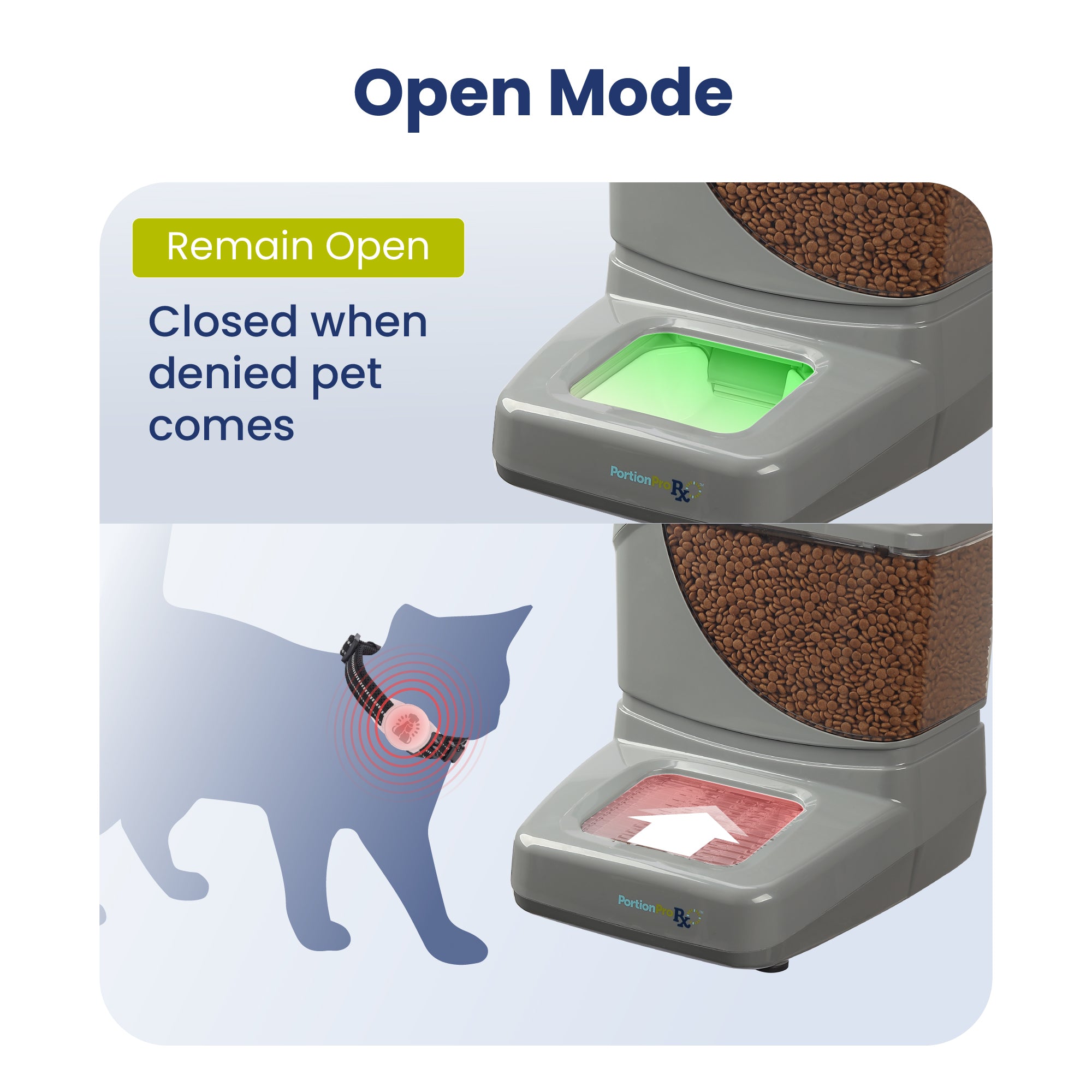 An application scenario or product detail of multi pet feeder - Image 6