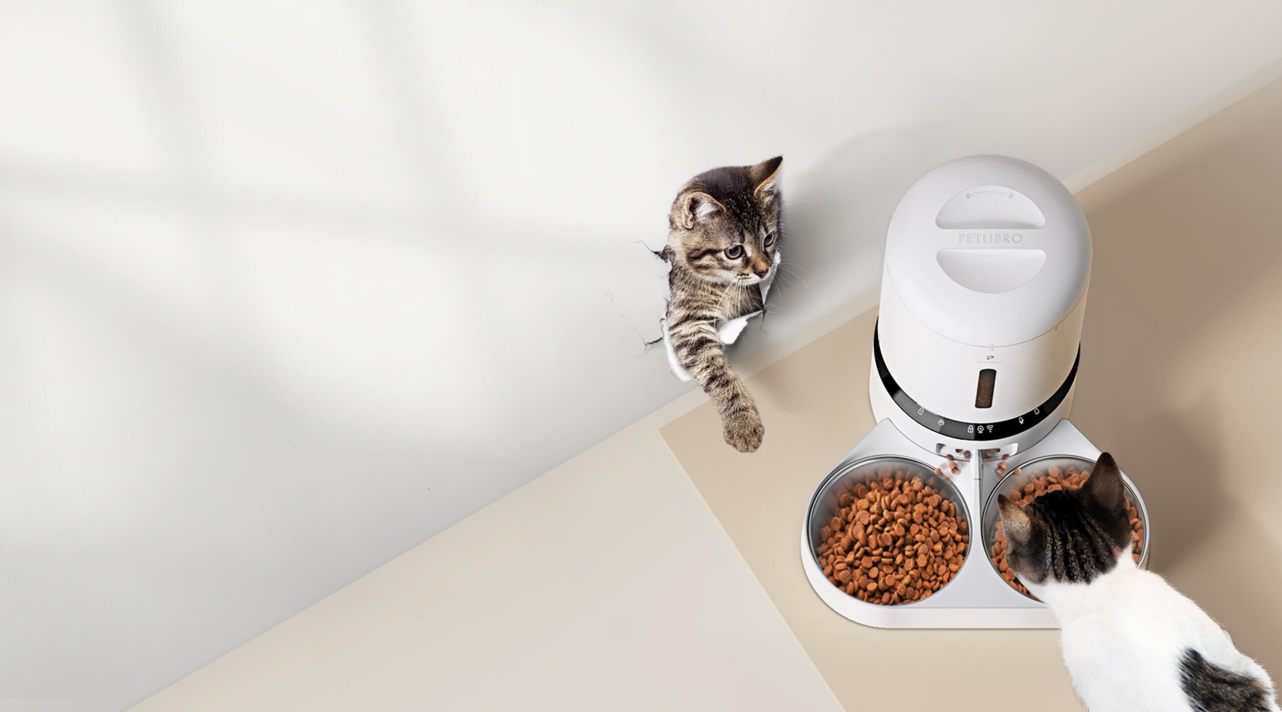 An application scenario or product detail of multi pet feeder - Image 7