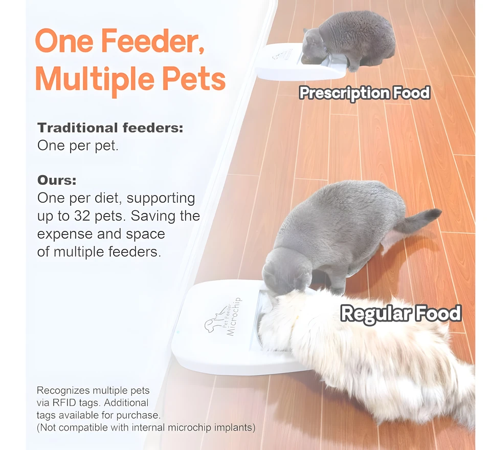 An application scenario or product detail of multi pet feeder - Image 11