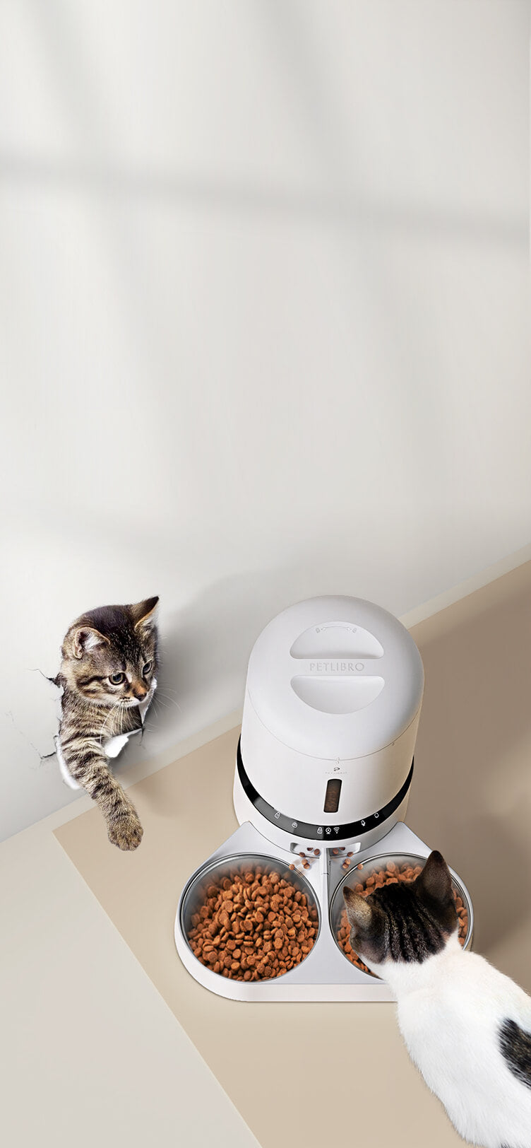 An application scenario or product detail of multi pet feeder - Image 15