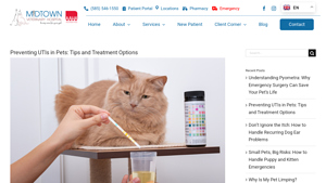 MVET Hospital - Prescription Urinary Diets