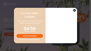 BirdBuddy - Birdbuddy Pro