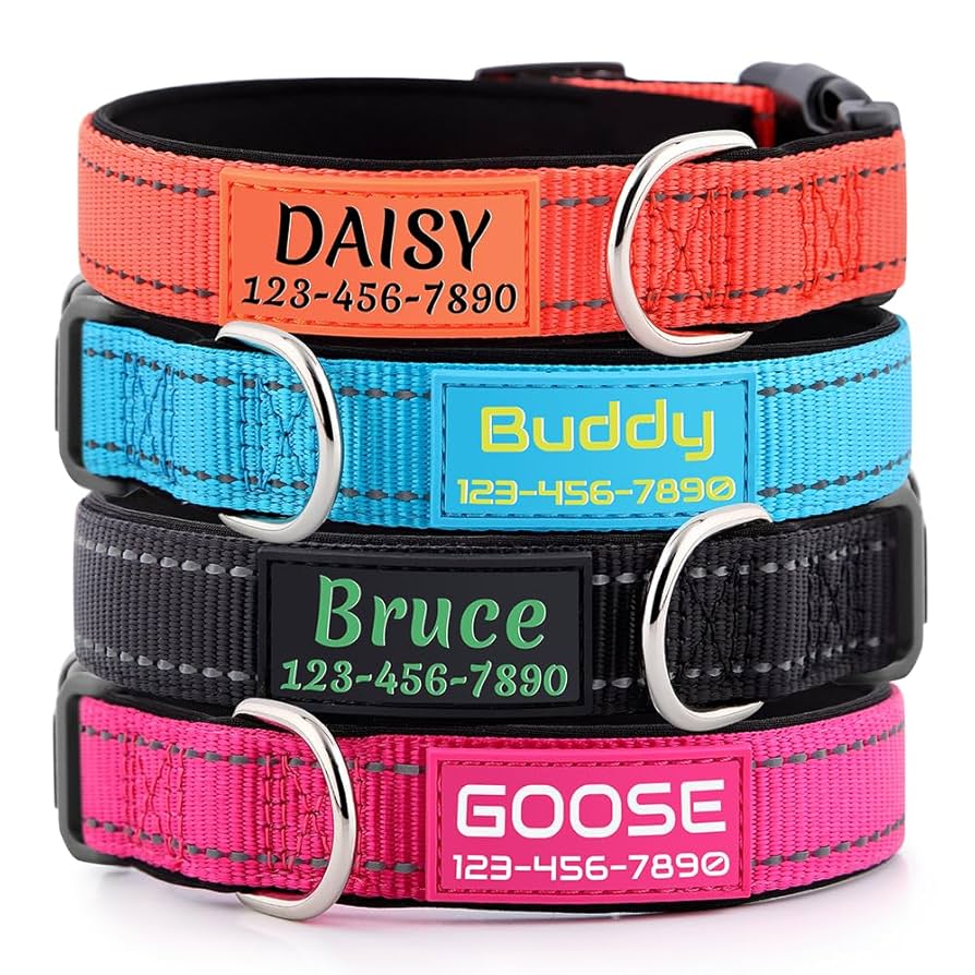 An application scenario or product detail of name brand dog collars - Image 9