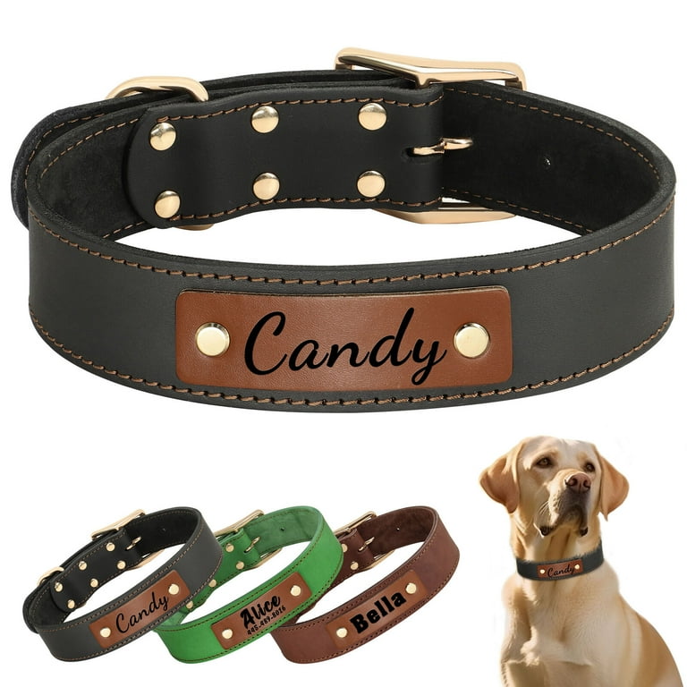 An application scenario or product detail of name brand dog collars - Image 10