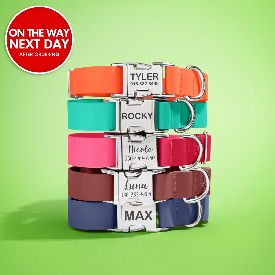 An application scenario or product detail of name brand dog collars - Image 11