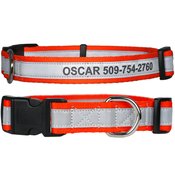 An application scenario or product detail of name brand dog collars - Image 13