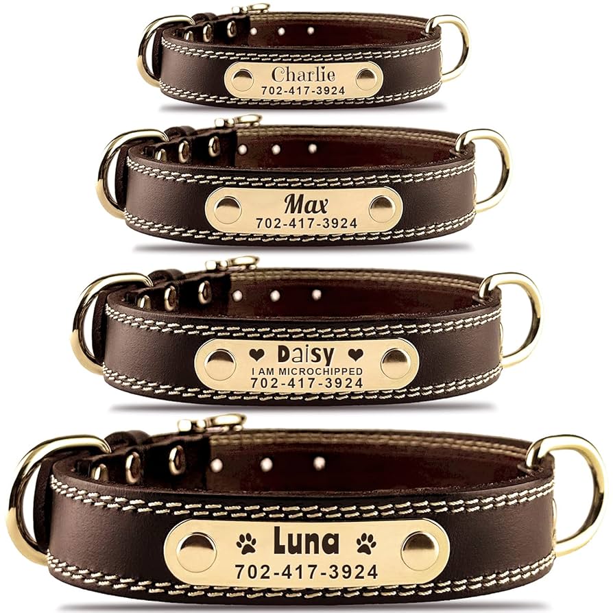 An application scenario or product detail of name brand dog collars - Image 14