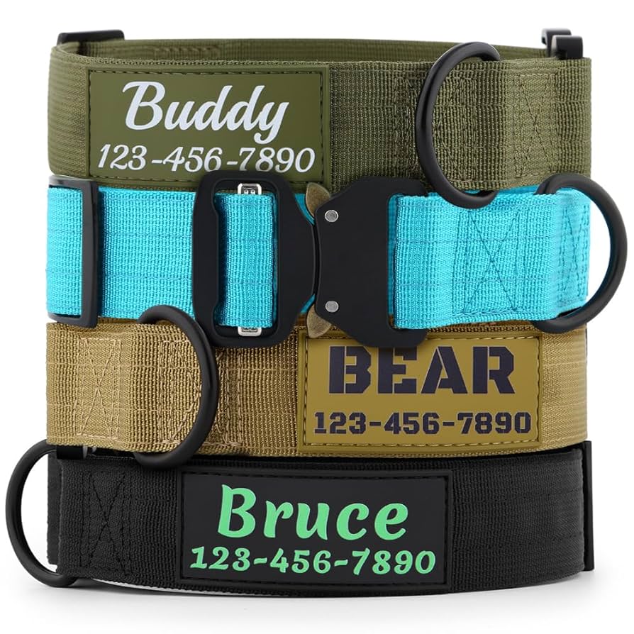 An application scenario or product detail of name brand dog collars - Image 19