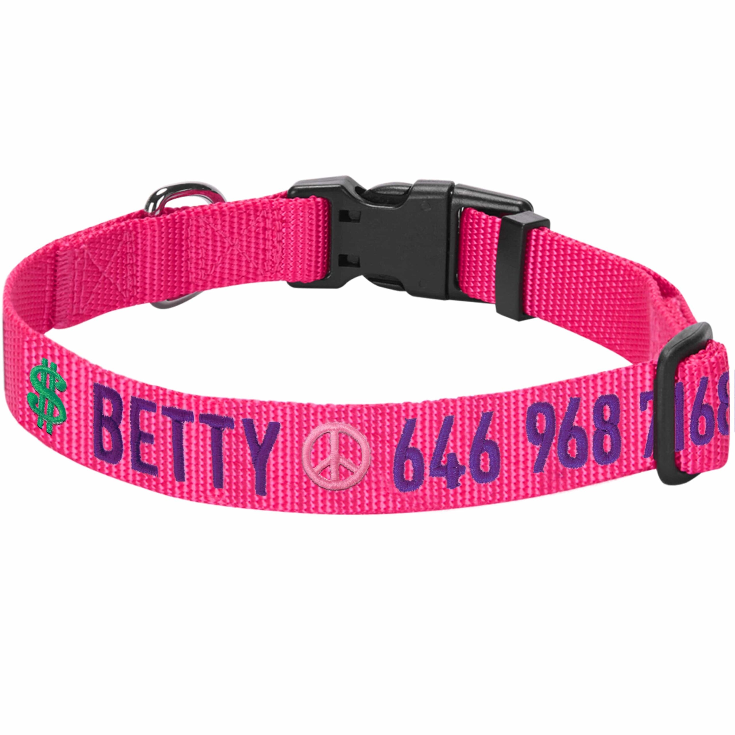 An application scenario or product detail of name brand dog collars - Image 24