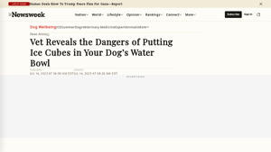 Newsweek - Can Dogs Have Ice Cubes?