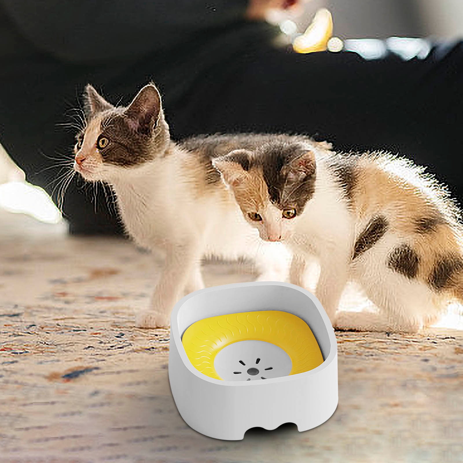 An application scenario or product detail of no spill cat water bowl - Image 8