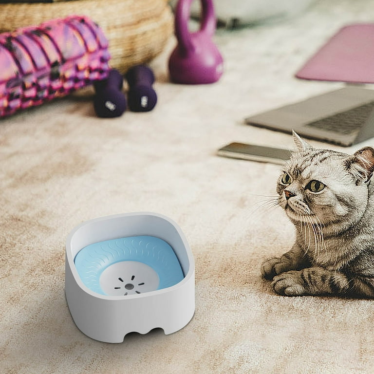 An application scenario or product detail of no spill cat water bowl - Image 15