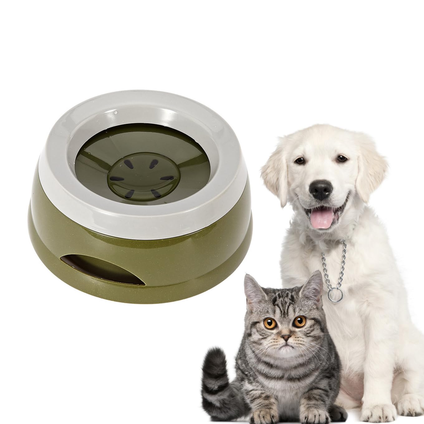 An application scenario or product detail of non spillable cat water bowl - Image 19