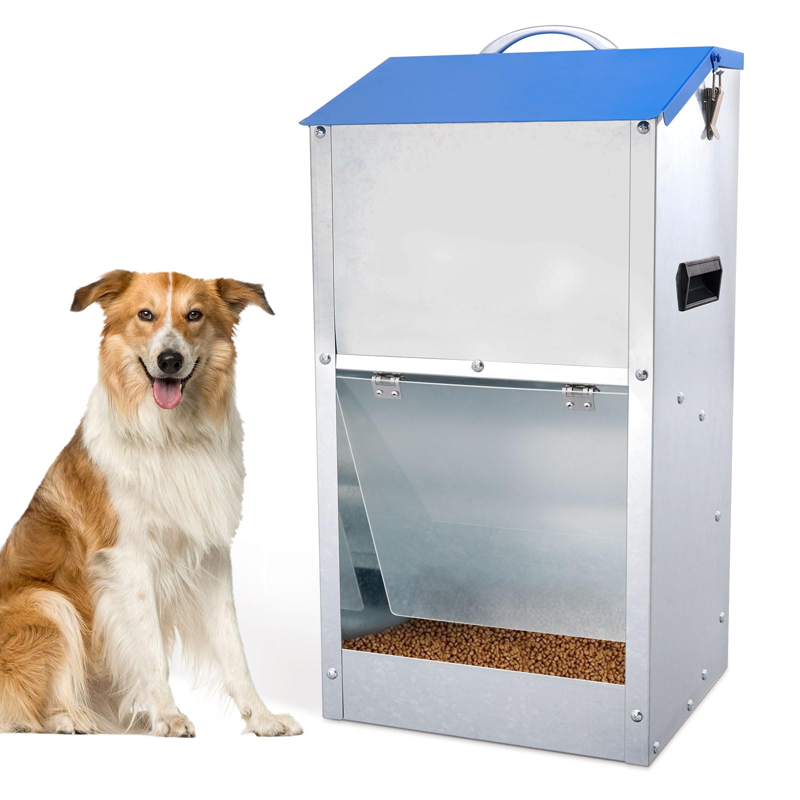 An application scenario or product detail of outdoor automatic dog feeder - Image 17