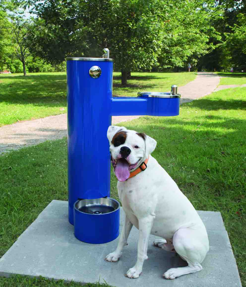 An application scenario or product detail of outdoor dog water drinking fountain - Image 10