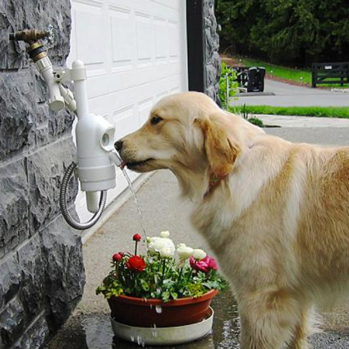 An application scenario or product detail of outdoor dog water drinking fountain - Image 20