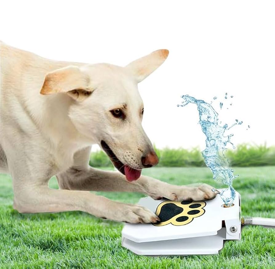 Featured image for the outdoor dog water drinking fountain guide