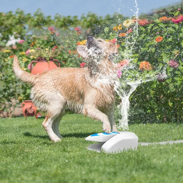 An application scenario or product detail of outdoor dog watering fountain - Image 9