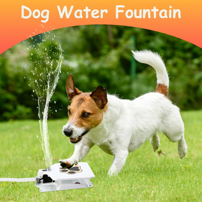 An application scenario or product detail of outdoor dog watering fountain - Image 15