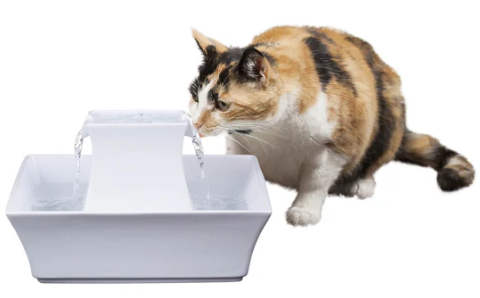 An application scenario or product detail of pagoda cat fountain - Image 10