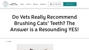 Parker Animal Care - Essential Cat Dental Health Tips