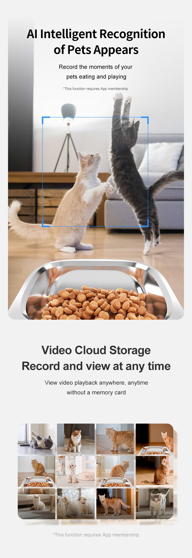 Pawbilt AI Dual-Camera Smart Pet Feeder with Motion Detection 